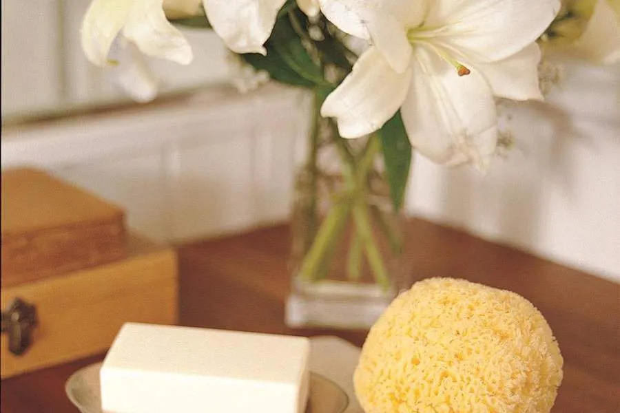 Las esponjas de baño: ¿conviene usarlas?