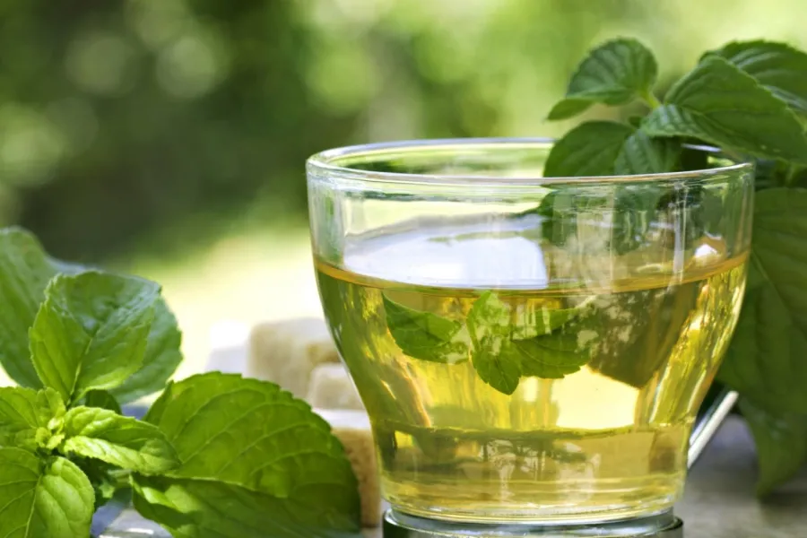 El té verde contiene múltiples propiedades beneficiosas para la salud.