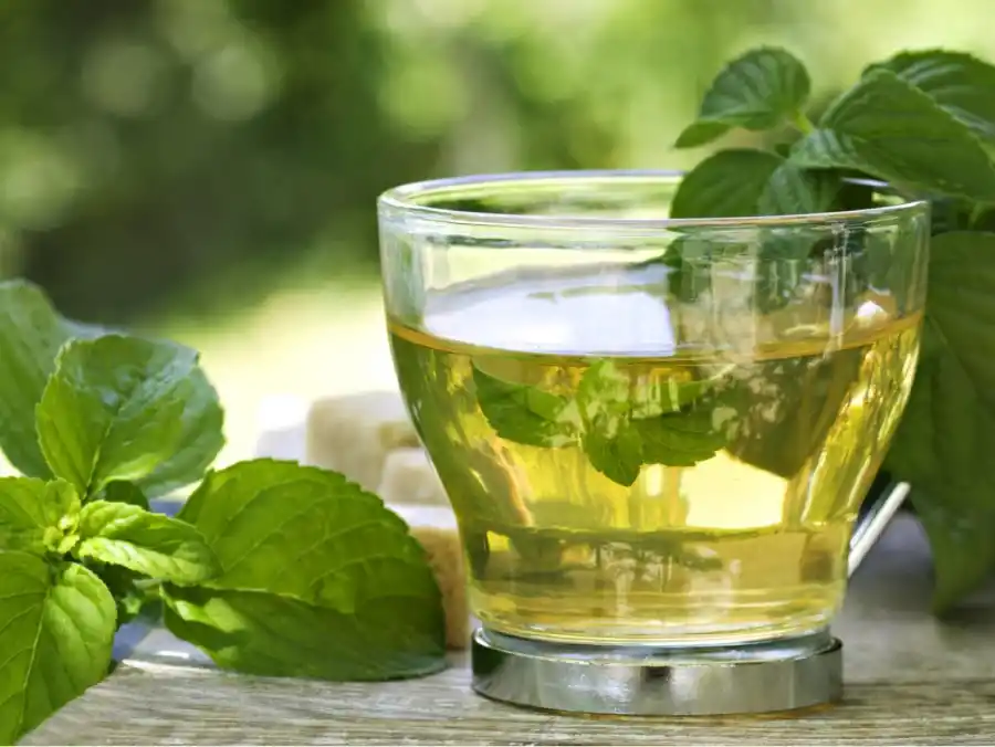 El té verde contiene múltiples propiedades beneficiosas para la salud.