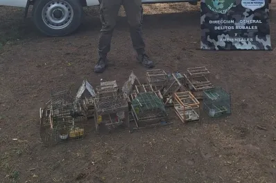 Rescataron aves silvestres que se encontraban en cautiverio