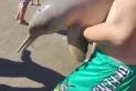 Mar del Tuyú: un turista sacó un delfín del agua y el animal murió