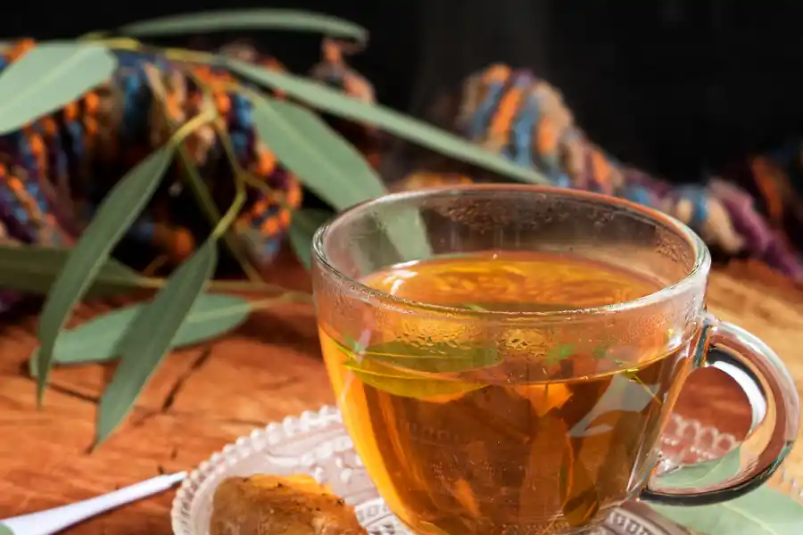 El té de eucalipto aporta varios beneficios para la salud.