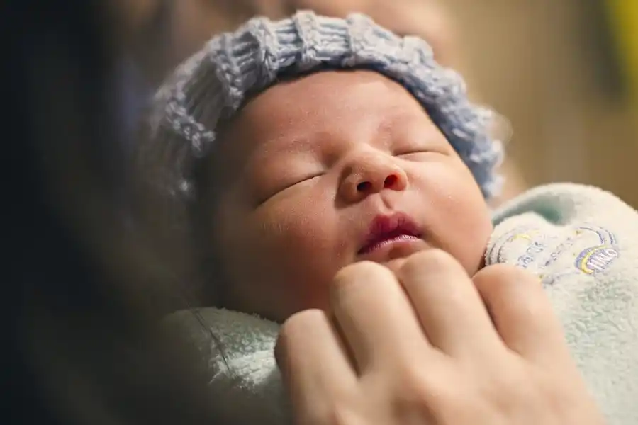 Los nacidos a partir del 29 de enero y hasta el 16 de febrero de 2026 contarán con la influencia de un animal considerado sagrado.