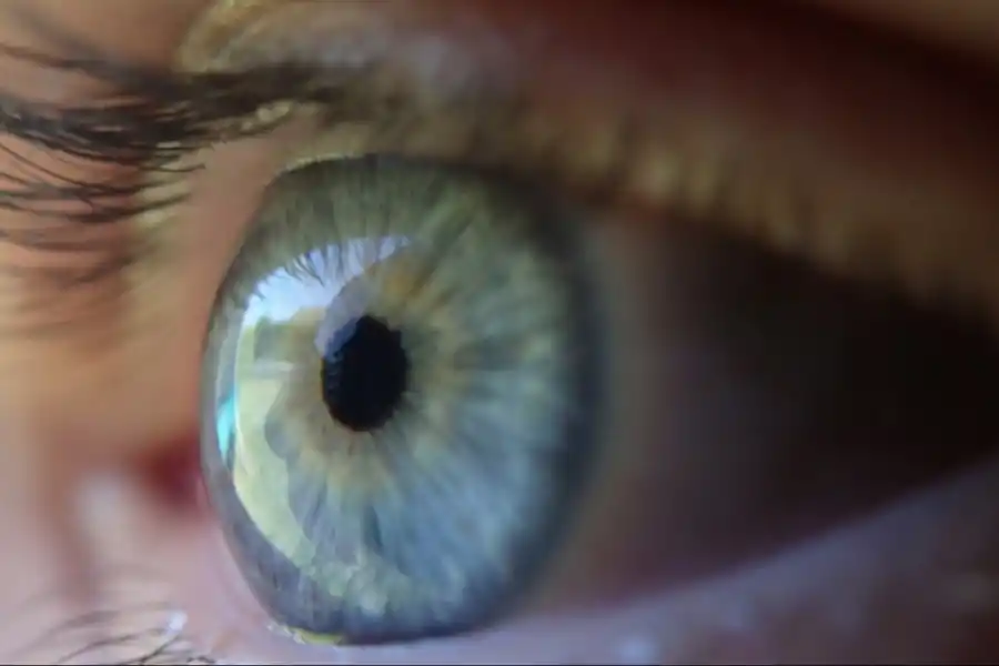 Una investigación de la Universidad de Loughborough asoció el deterioro de la visión con la demencia.