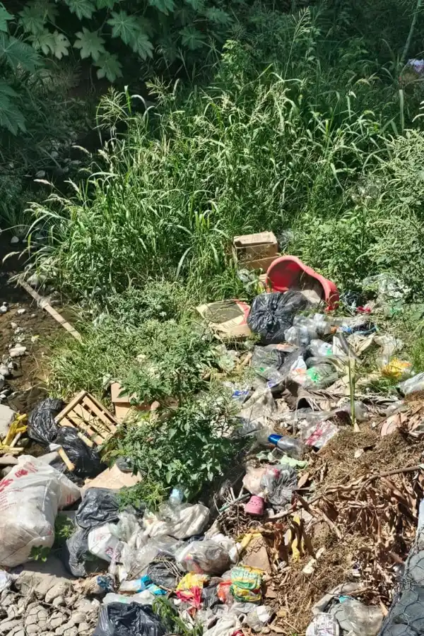 LA GACETA en WhatsApp: ¿un canal o un basurero en Villa Carmela?