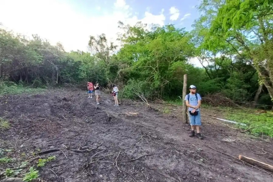 Otro caso de usurpación: avanza la ocupación de tierras en la yunga de Tafí Viejo