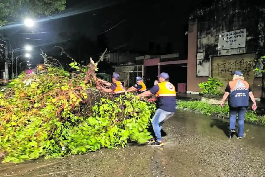 DEFENSA CIVIL. Se retiró una rama de gran porte que impedía el paso sobre la calzada de calle Italia al 2.900.