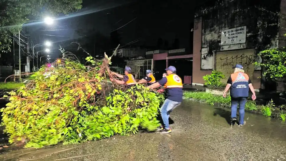 DEFENSA CIVIL. Se retiró una rama de gran porte que impedía el paso sobre la calzada de calle Italia al 2.900.