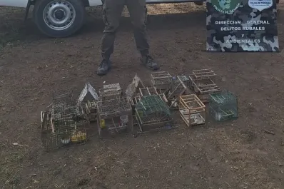 Rescataron casi 200 aves silvestres que estaban en cautiverio