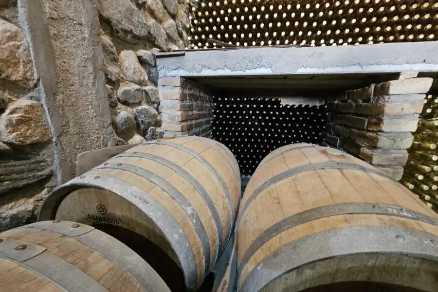 BARRILES. Para esta bodega son muy importantes las fases lunares