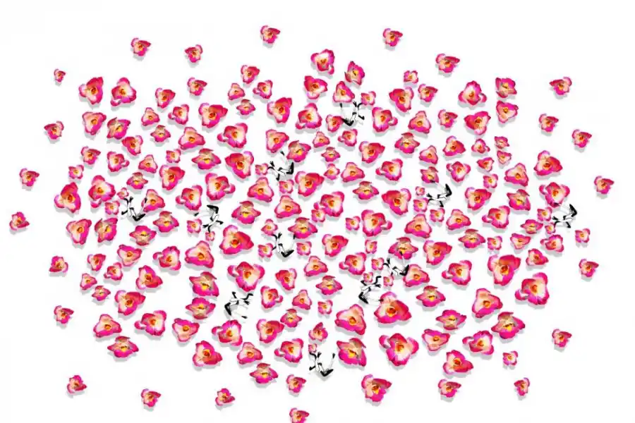 Flores y “tipitos” de Contreras Moiraghi van hasta Singapur