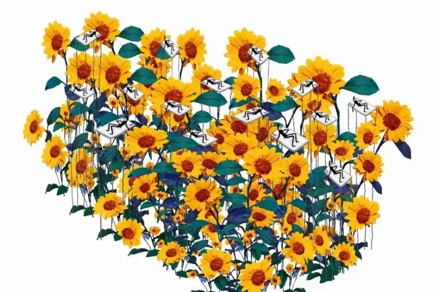 Flores y “tipitos” de Contreras Moiraghi van hasta Singapur