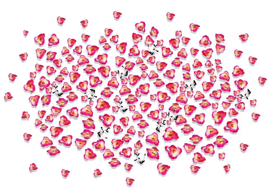 Flores y “tipitos” de Contreras Moiraghi van hasta Singapur