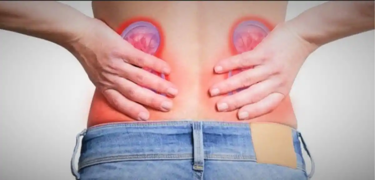 Expertos insisten en la importancia de cuidar la salud renal.