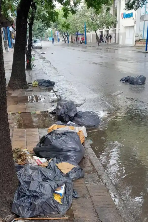 LA GACETA en WhatsApp: un vecino acumula basura en su casa
