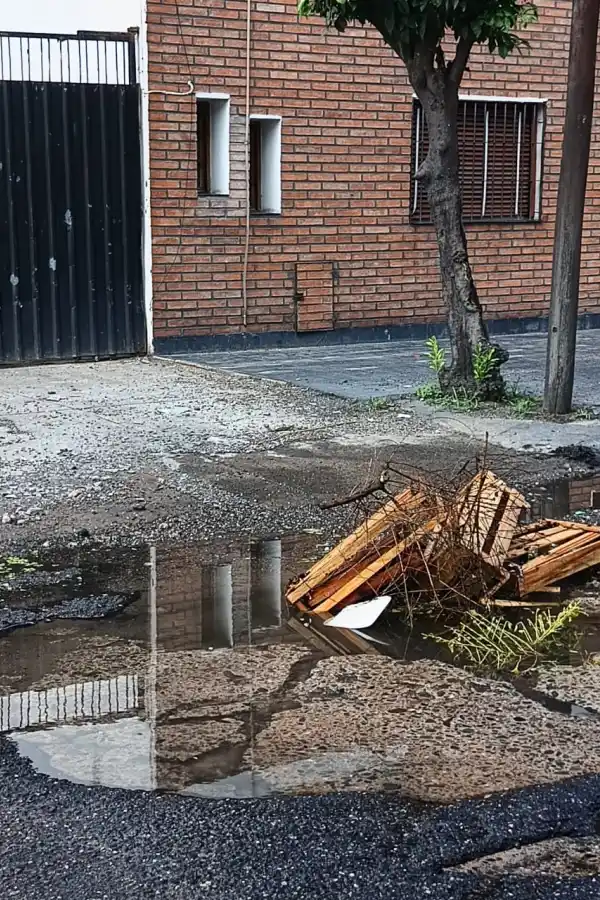 LA GACETA en WhatsApp: un vecino acumula basura en su casa