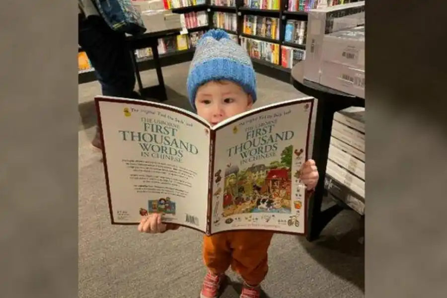 Buscan “genios” en Tucumán, ¿cómo hallarlos?