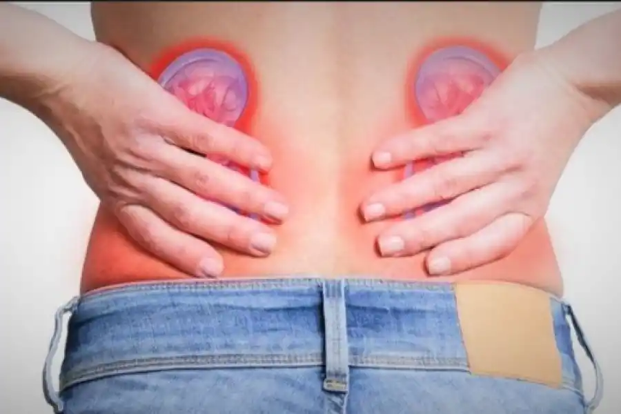 Expertos insisten en la importancia de cuidar la salud renal.