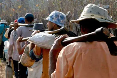 Brasil: unas 65.000 personas fueron liberadas del trabajo esclavo en tres décadas