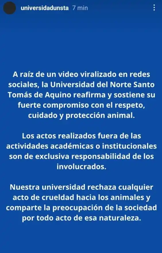 Indignación por un video de una joven montando un potrillo de un mes en Tafí del Valle