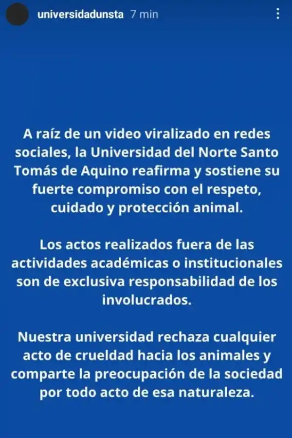 Indignación por un video de una joven montando un potrillo de un mes en Tafí del Valle