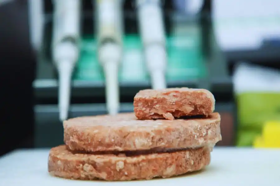 ¿De qué animal? Recomiendan una alternativa a la carne vacuna de alto valor nutricional