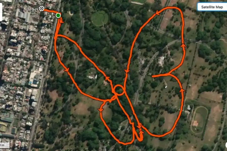 DEDICATORIA. Los dibujos sirven también para mensajes.