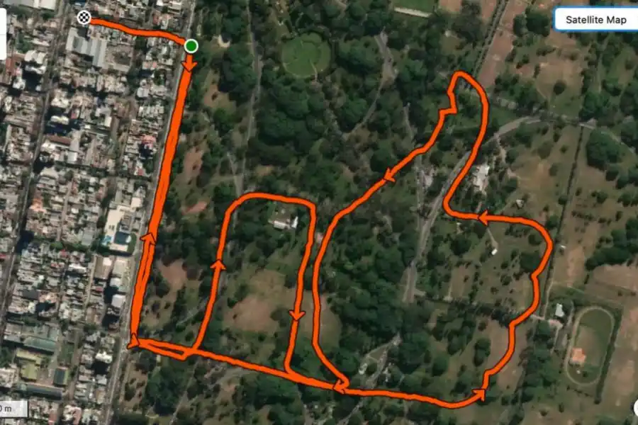 ANIMALES TAMBIÉN. Una ardilla en un buen lugar: el parque.