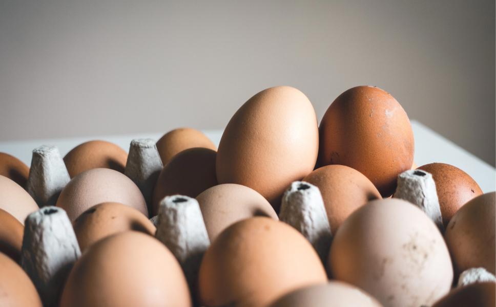 Qué alimento es rico en colina, el componente que cuida la salud del cerebro