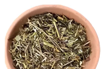 La hierba que podés agregarle al mate para aliviar la hinchazón y calmar el estómago