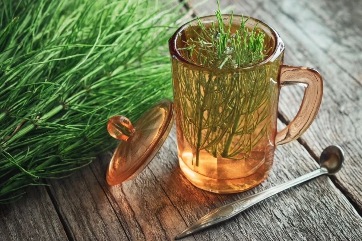 Prepará esta infusión para aliviar los síntomas de la retención de líquidos.