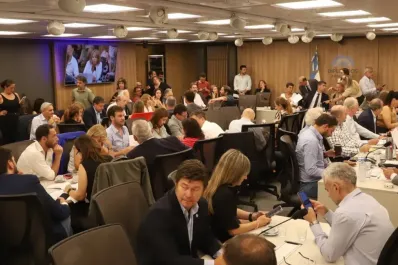 Ficha Limpia: el oficialismo logró el dictamen de su proyecto y se tratará la próxima semana en Diputados