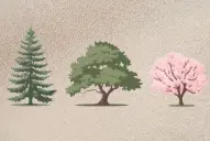 Test de personalidad: elegí un árbol y descubrí el origen de tus miedos e inseguridades