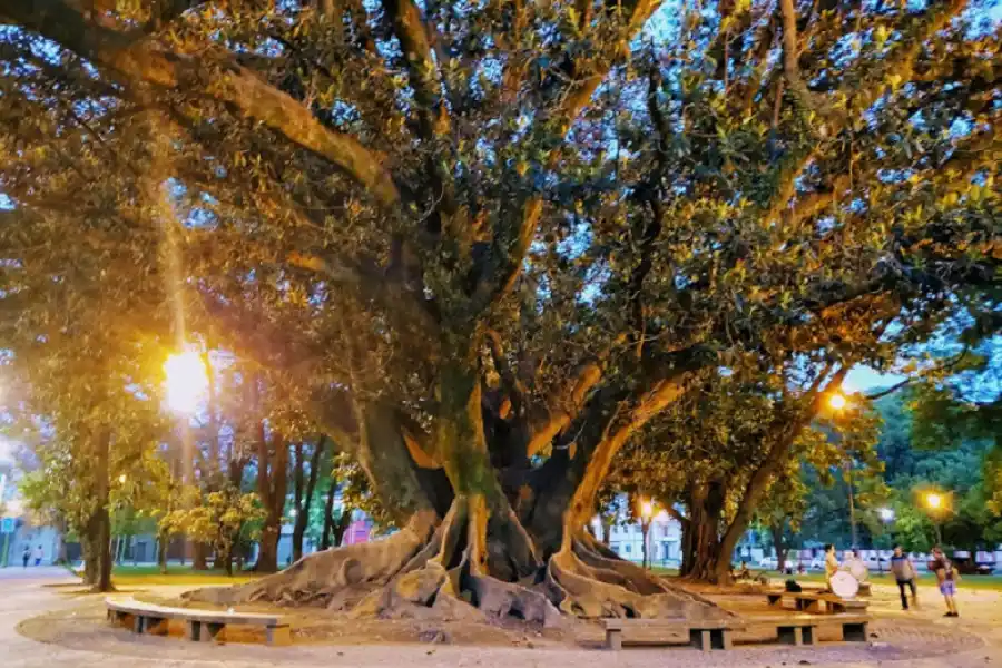 IMAGEN Gentileza: David Esteban Di Santi.