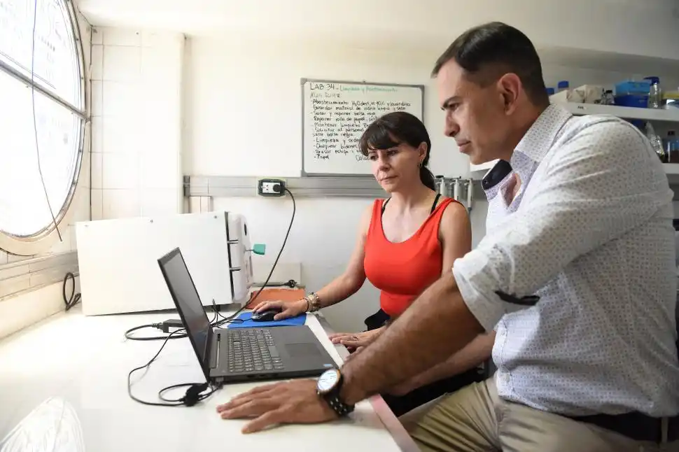 Después de la cosecha, el limón puede protegerse de las infecciones gracias a su propia cáscara