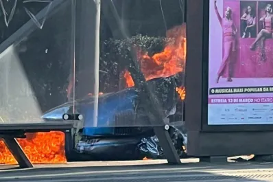 Tragedia en Brasil: cayó una avioneta en una avenida de San Pablo y hay al menos dos muertos