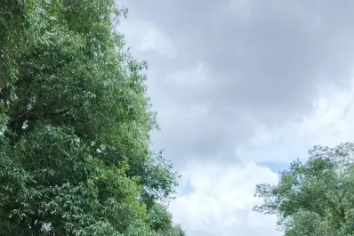 Continúa el corte total en la Ruta Nacional 65 por desborde del río Cochuna