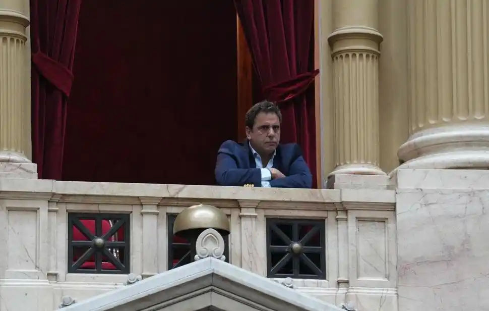 AVANCE. Para Catalán la suspensión de las PASO resulta “fundamental”.