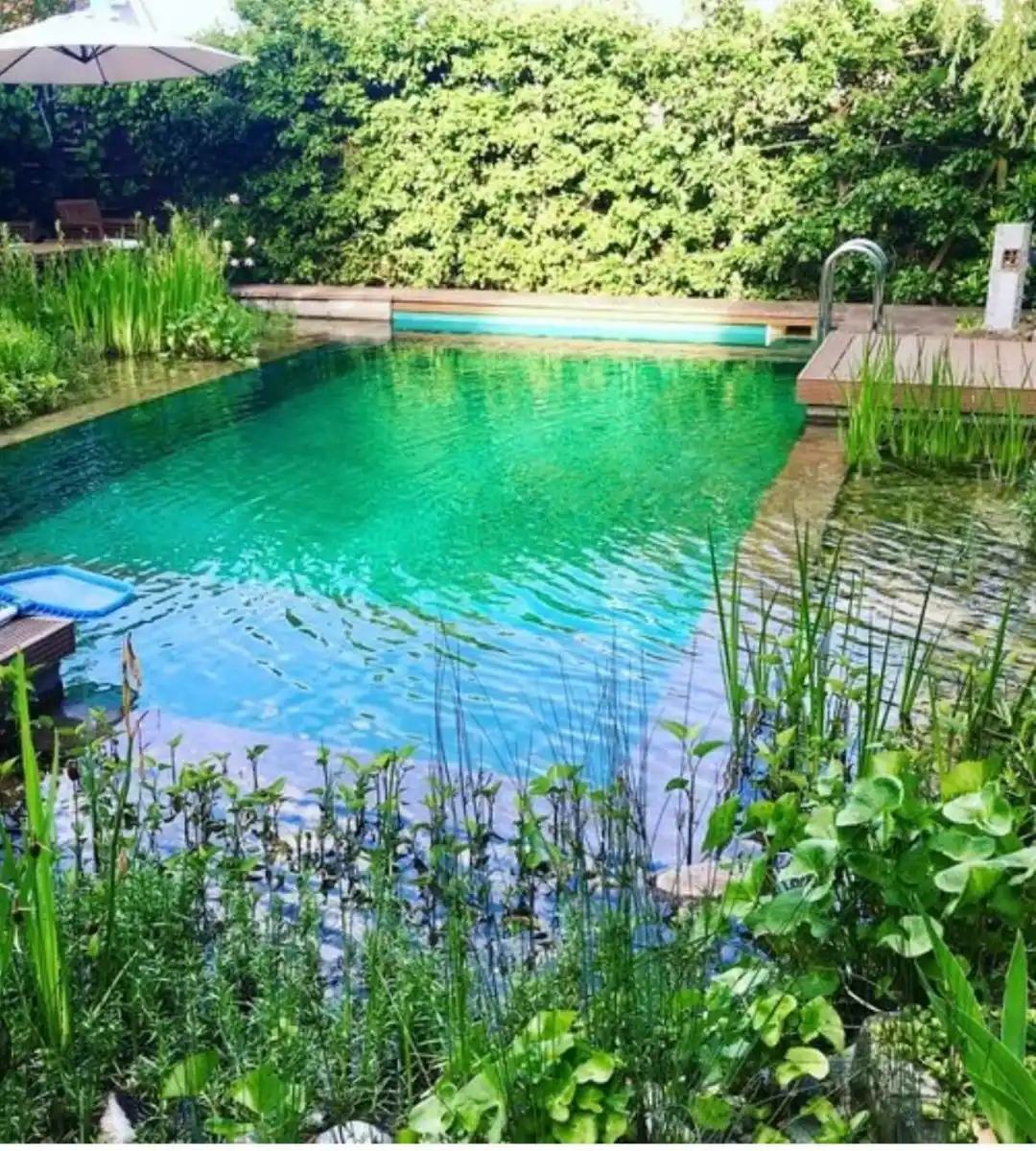 Tené un jardín paradisíaco con estas nuevas tendencias en piletas