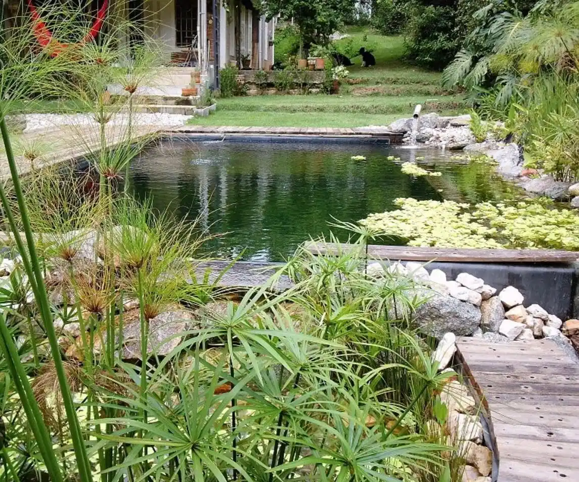 Tené un jardín paradisíaco con estas nuevas tendencias en piletas