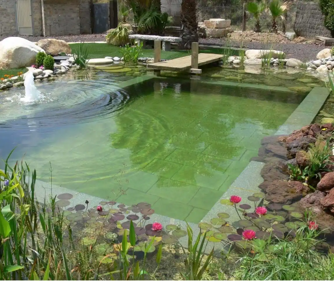 Tené un jardín paradisíaco con estas nuevas tendencias en piletas