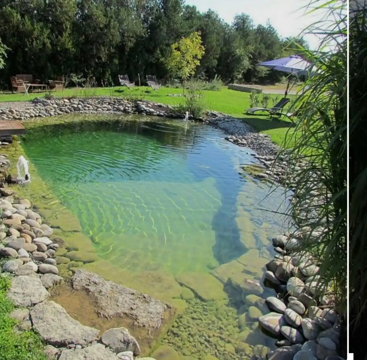 Tené un jardín paradisíaco con estas nuevas tendencias en piletas