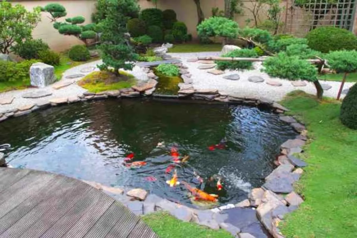 Tené un jardín paradisíaco con estas nuevas tendencias en piletas