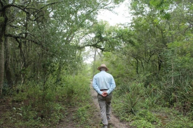 Arrancó un proyecto de reforestación en el Gran Chaco