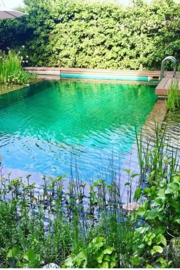 Tené un jardín paradisíaco con estas nuevas tendencias en piletas