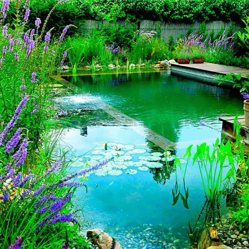 Tené un jardín paradisíaco con estas nuevas tendencias en piletas