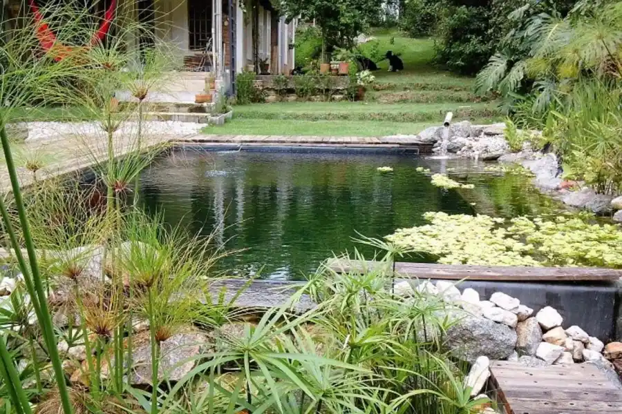 Tené un jardín paradisíaco con estas nuevas tendencias en piletas