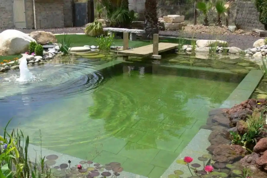 Tené un jardín paradisíaco con estas nuevas tendencias en piletas