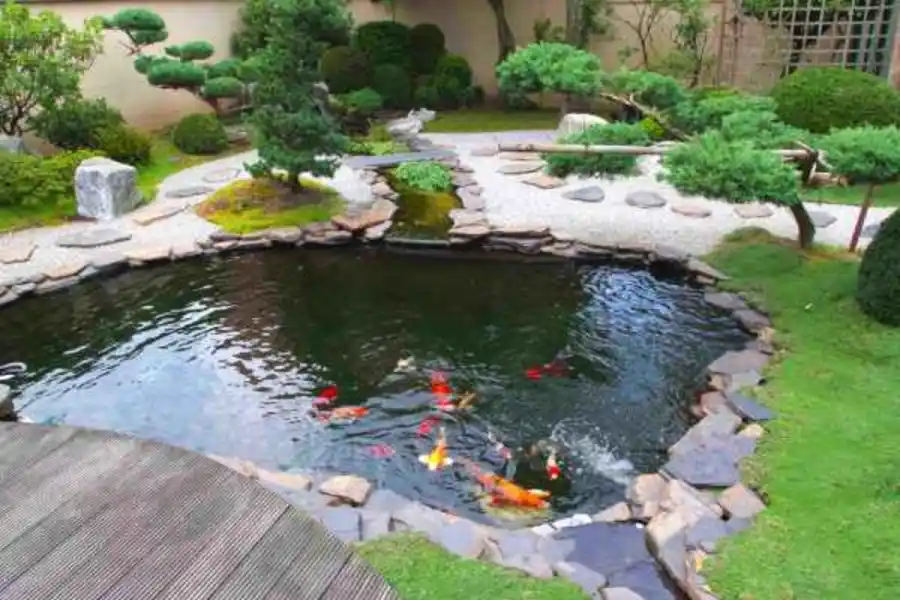 Tené un jardín paradisíaco con estas nuevas tendencias en piletas