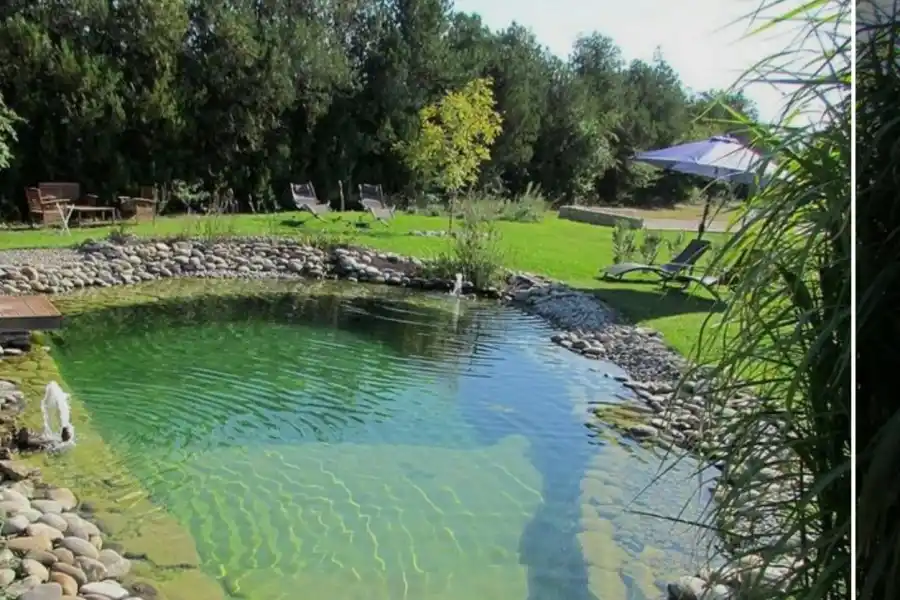 Tené un jardín paradisíaco con estas nuevas tendencias en piletas